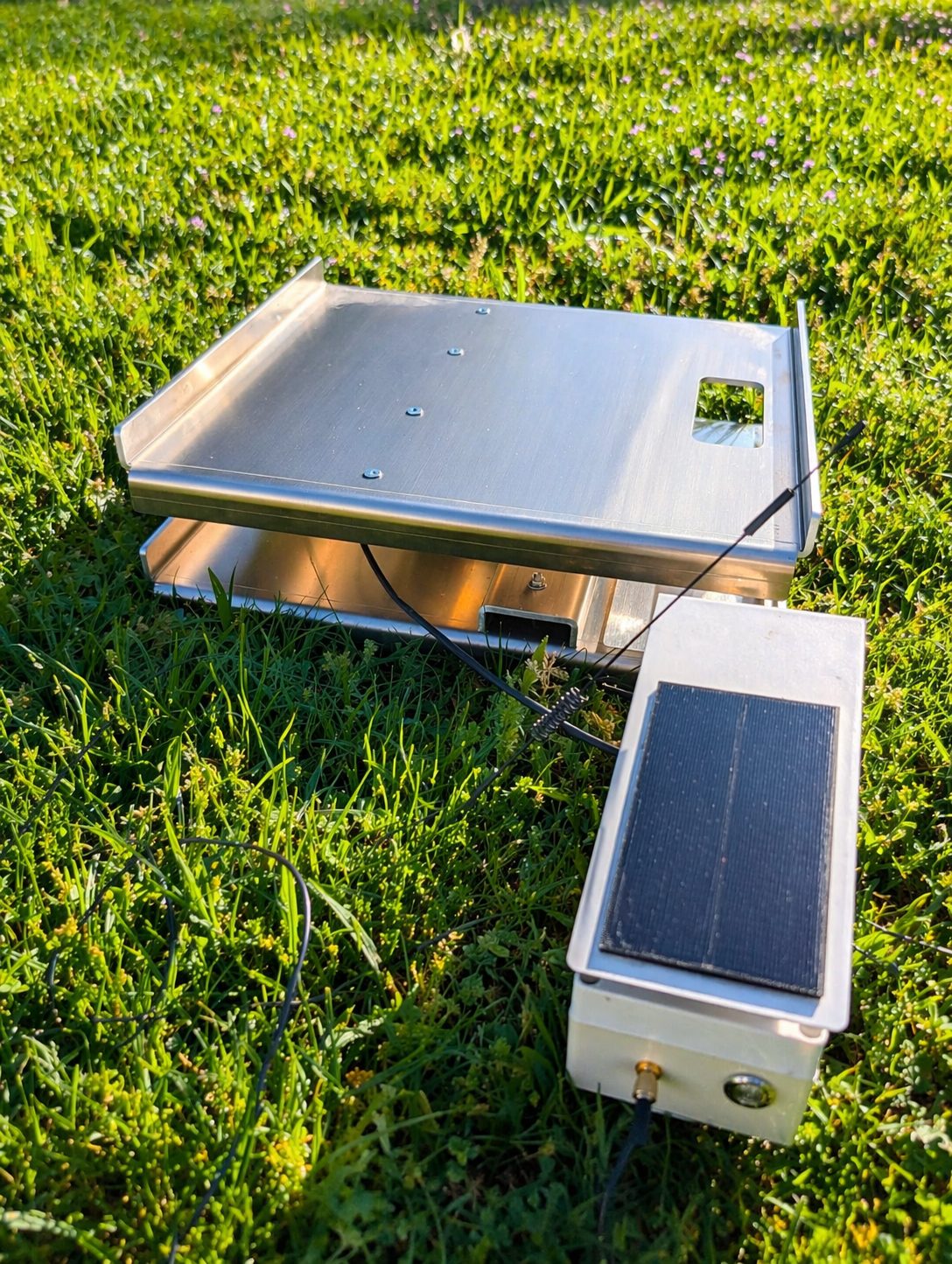 Balance connectée en rucher